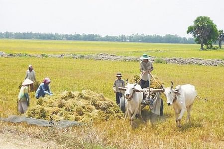 Nha Trang Countryside Biking Adventure: Discover Local Life & Charm