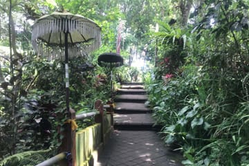 Purification Ritual at Beji Griya Waterfall in Ubud