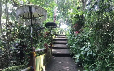 Purification Ritual at Beji Griya Waterfall in Ubud