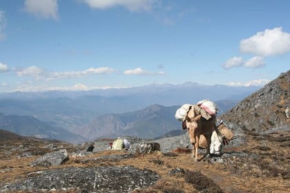 10 Days Dagala Thousand Lakes Trek in Pristine Bhutan