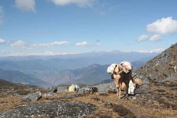 10-Day Dagala Thousand Lakes Trek in Bhutan's Nature