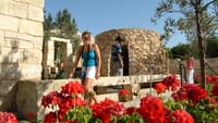 Hagar Qim Temple, Limestone Heritage and Market 5