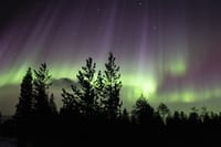 Northern Lights Hunt by car – Guided Aurora Adventure 5