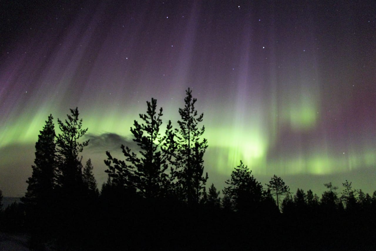 Northern Lights Hunt by car – Guided Aurora Adventure 5