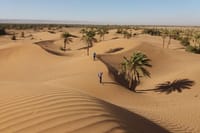 Camel trek in Sahara