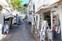 Amalfi Coast & Sorrento Coast Boat Tour from Sorrento 5