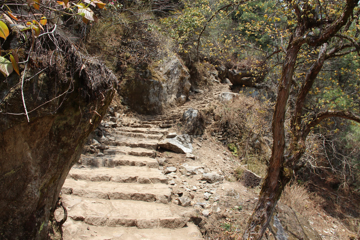 19 Days Mera Peak Climbing & Expedition – One Life-Changing Himalayan Adventure