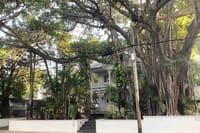 Key West History Audio Guided Walking Tour 3