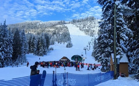Private Winter Adventure Tour at Grouse Mountain, Vancouver