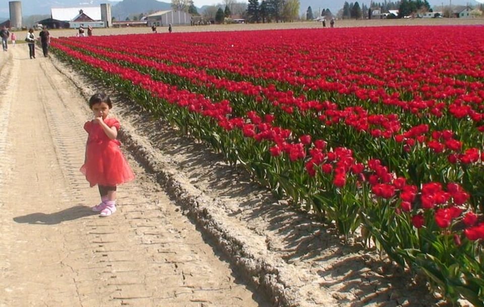 Tulip Festival at Skagit Valley ,La Conner and Deception Pass