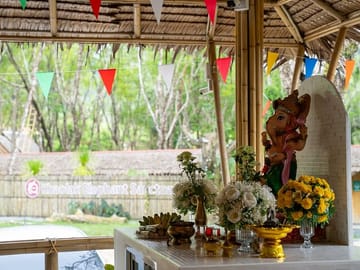 1-Hour Guided Khaolak Elephant Sanctuary Observation Tour