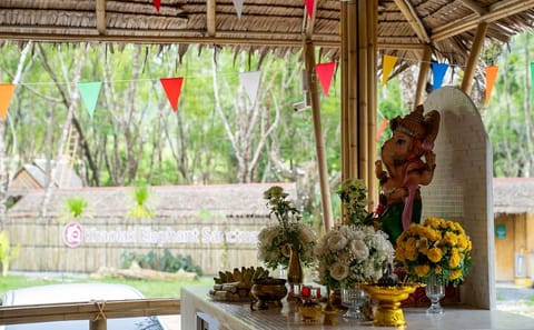 1-Hour Guided Khaolak Elephant Sanctuary Observation Tour