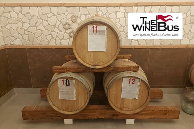 Half-Day Irpinia Wine Tour from SALERNO - Photo 5