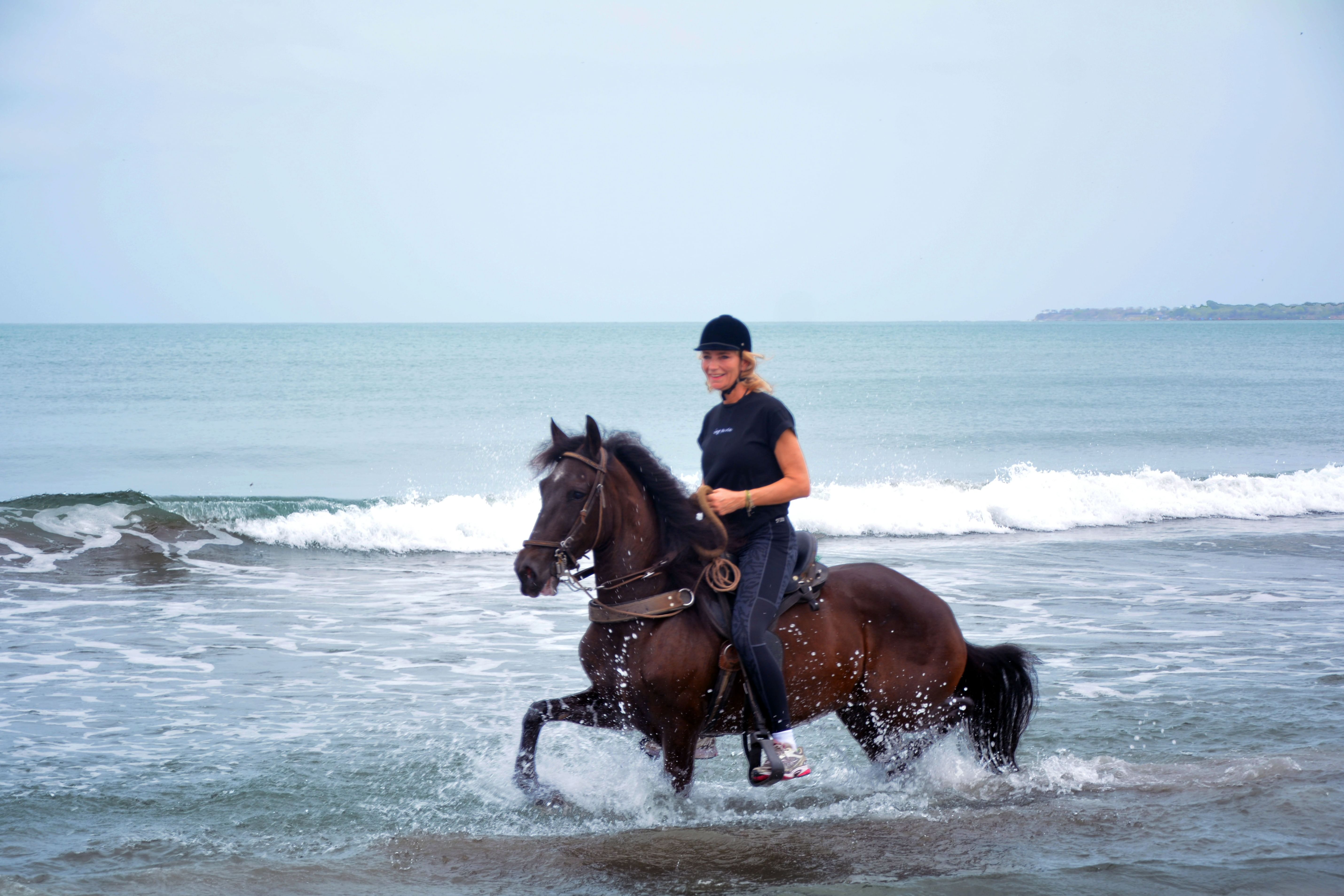 Cabalgata en Caballo de Paso fino en la playa