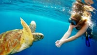 Surin Islands by Speedboat from Khao Lak 1