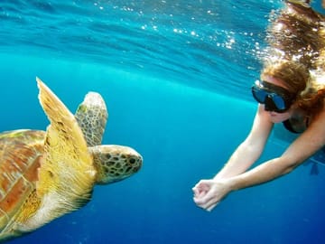 Surin Islands – The Snorkelling Experience from Phuket
