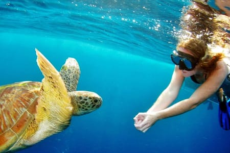 Surin Islands by Speedboat from Khao Lak