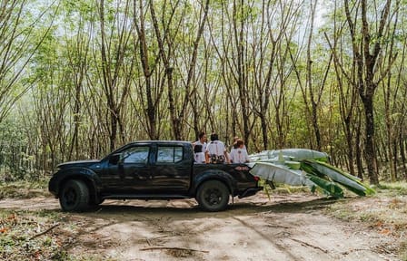 Full-Day Rescued Elephant Walk with Guide Tour in Khaolak
