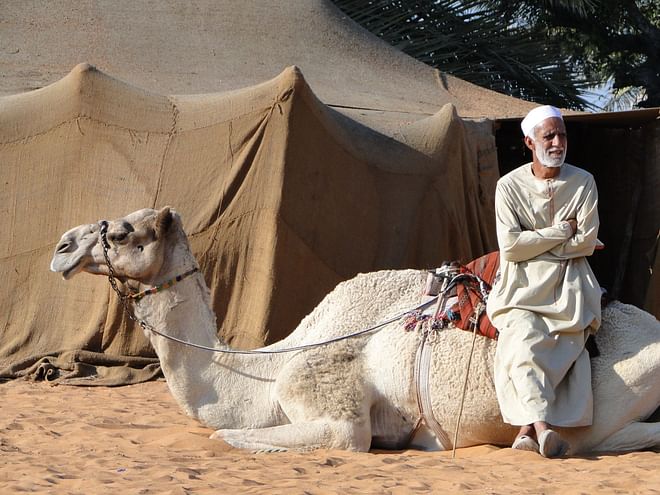 Recorrido por el patrimonio y la cultura de Fujairah de 8 horas en coche privado desde Dubái