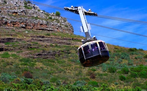 Cape Town Table Mountain and Camps Bay Scenic Tour