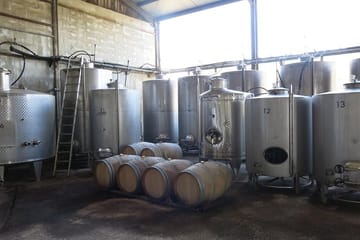 Troodos Vino Venture: Wineries and Villages Tour from Paphos