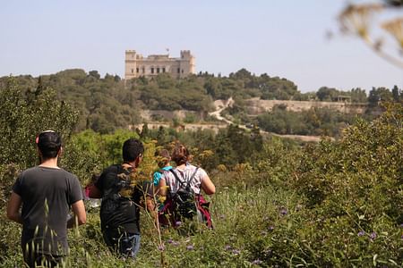 Buskett Woodlands & Dingli Cliffs: Scenic Nature Walking Tour in Malta