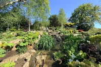 London - Camden: Regent’s Park and Primrose Hill Walking Tour 5