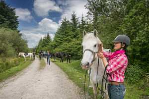 Horse riding the dirt trail. Clare. Guided. 1 hour
