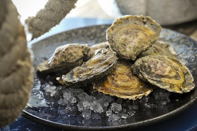 Fresh oysters directly from the sea