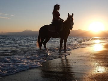 Antalya Horse Riding Experience
