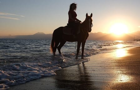 Antalya Horse Riding Experience