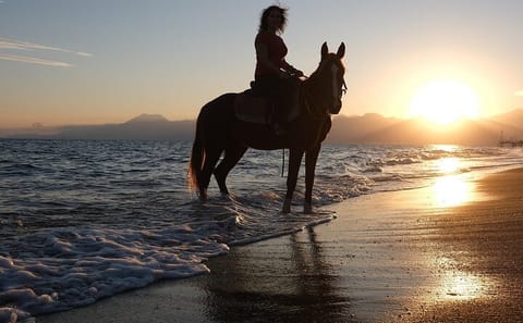 Horseback Riding Tour in Aksu's Scenic Nature Trails