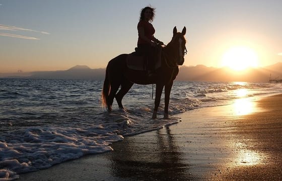 Antalya Horse Riding Experience