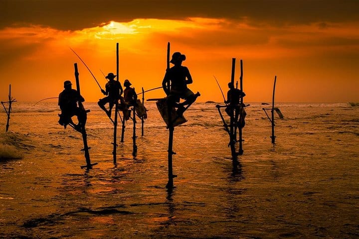 Galle City Tour from Colombo 6