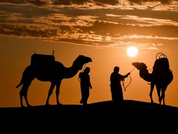 Camel Ride Adventure in the Desert of Ica, Peru