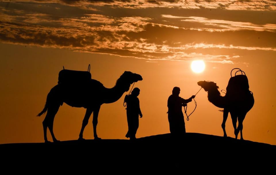 Camel Ride Adventure in the Desert of Ica, Peru