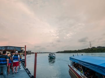 Fireflies and Bioluminescent Night Tour with Seafood Delight (Meet at Location)
