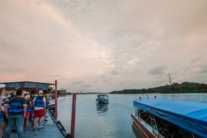 Fireflies Tour with Blue Tears & Seafood Dinner on Private Basis