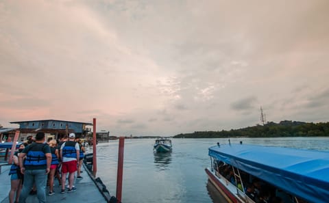 Kuala Selangor Fireflies Tour with Seafood Dinner Experience
