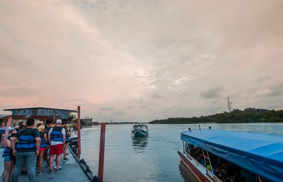 Fireflies Tour with Blue Tears and Seafood Dinner (SIC)