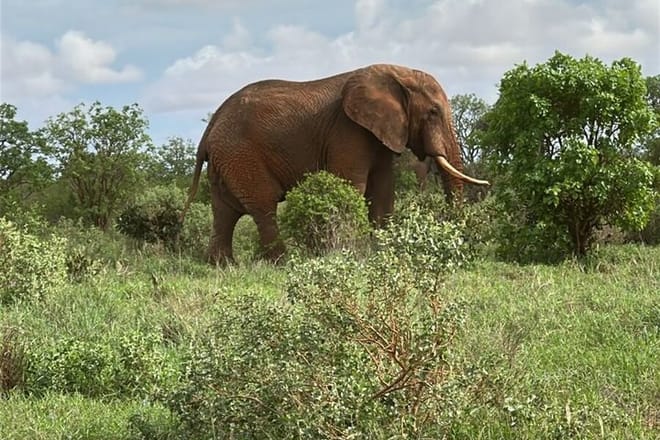 3 Days and 2 Nights Private Maasai Mara Safari 3