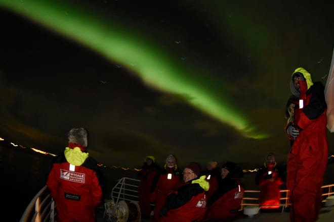 Akureyri Northern Lights Cruise photo 4