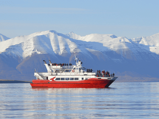 Akureyri Classic Whale Watching, photo 15