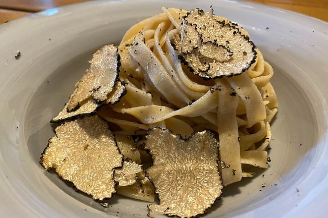 Truffle hunting experience with lunch and Chianti wine tasting - Photo 4