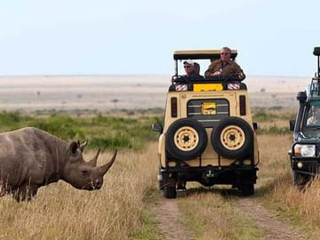 3-Day Private Flying Safari with Game Drives in Masai Mara