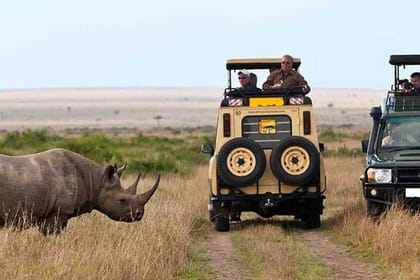 3-Day Masai Mara Private Flying Safari – 4 X 4 Game Drives