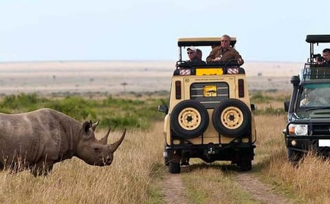 3-Day Private Flying Safari with Game Drives in Masai Mara