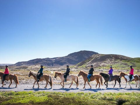 Private Horseback Riding Tour, photo 3