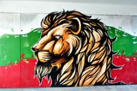 Logistics Organization for Any Trip in Bulgaria 10