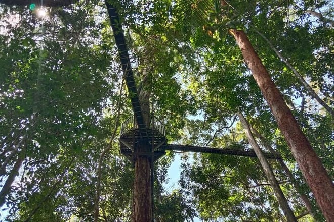 Taman Negara National Park Trekking Day Tour (SIC - Join In Tour) 7